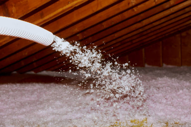 Professional Insulation Contractor in Elk Grove Village, IL