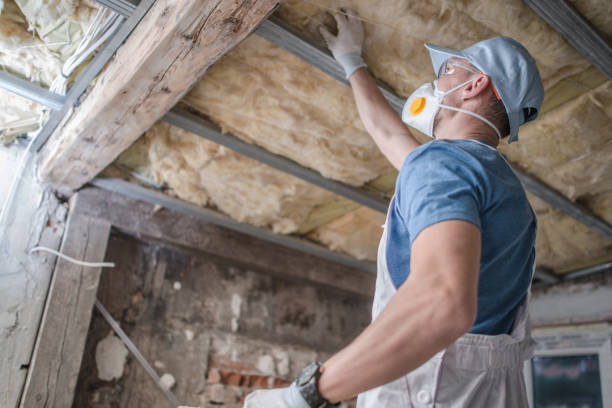 Best Insulation for New Construction  in Elk Grove Vlage, IL