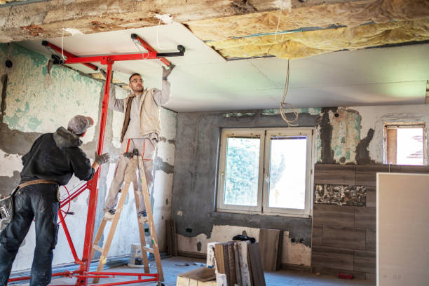Insulation Repair Services in Elk Grove Village, IL