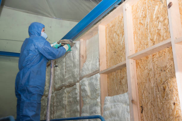 Best Garage Insulation Installation  in Elk Grove Vlage, IL